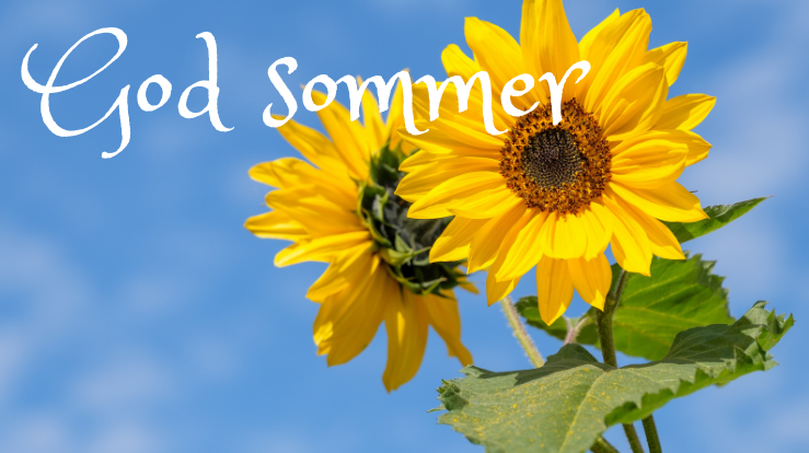 Sommer i Fridalen og Årstad kirker