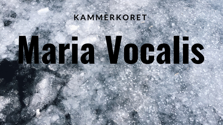 Konsert med Maria Vocalis