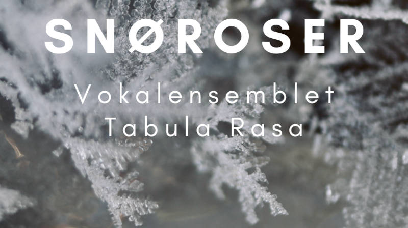 Konsert med Tabula Rasa