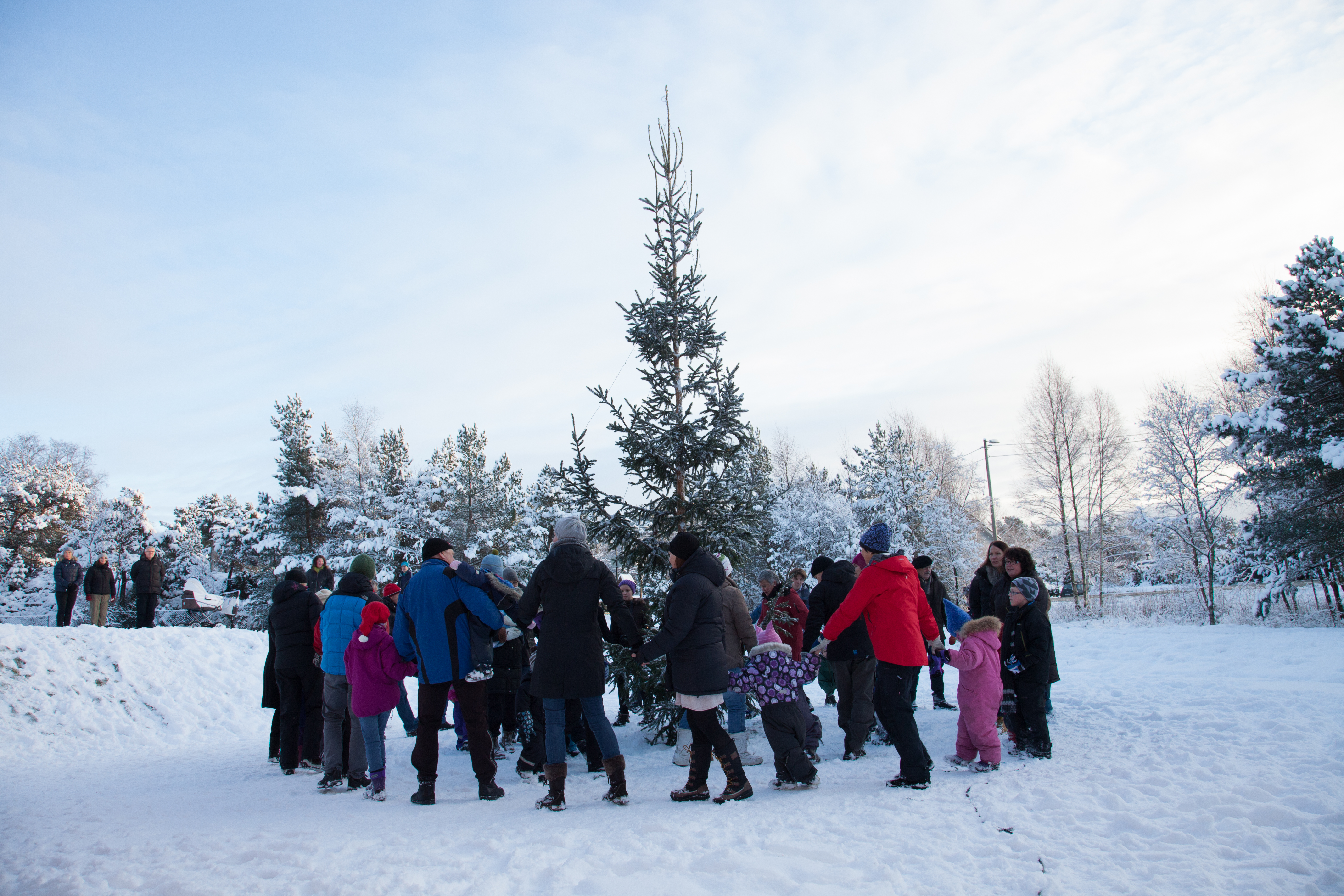Tenning av julegran på søndag!