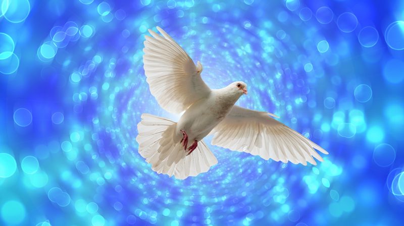 Det blir gudstjeneste 1. pinsedag kl. 12:30