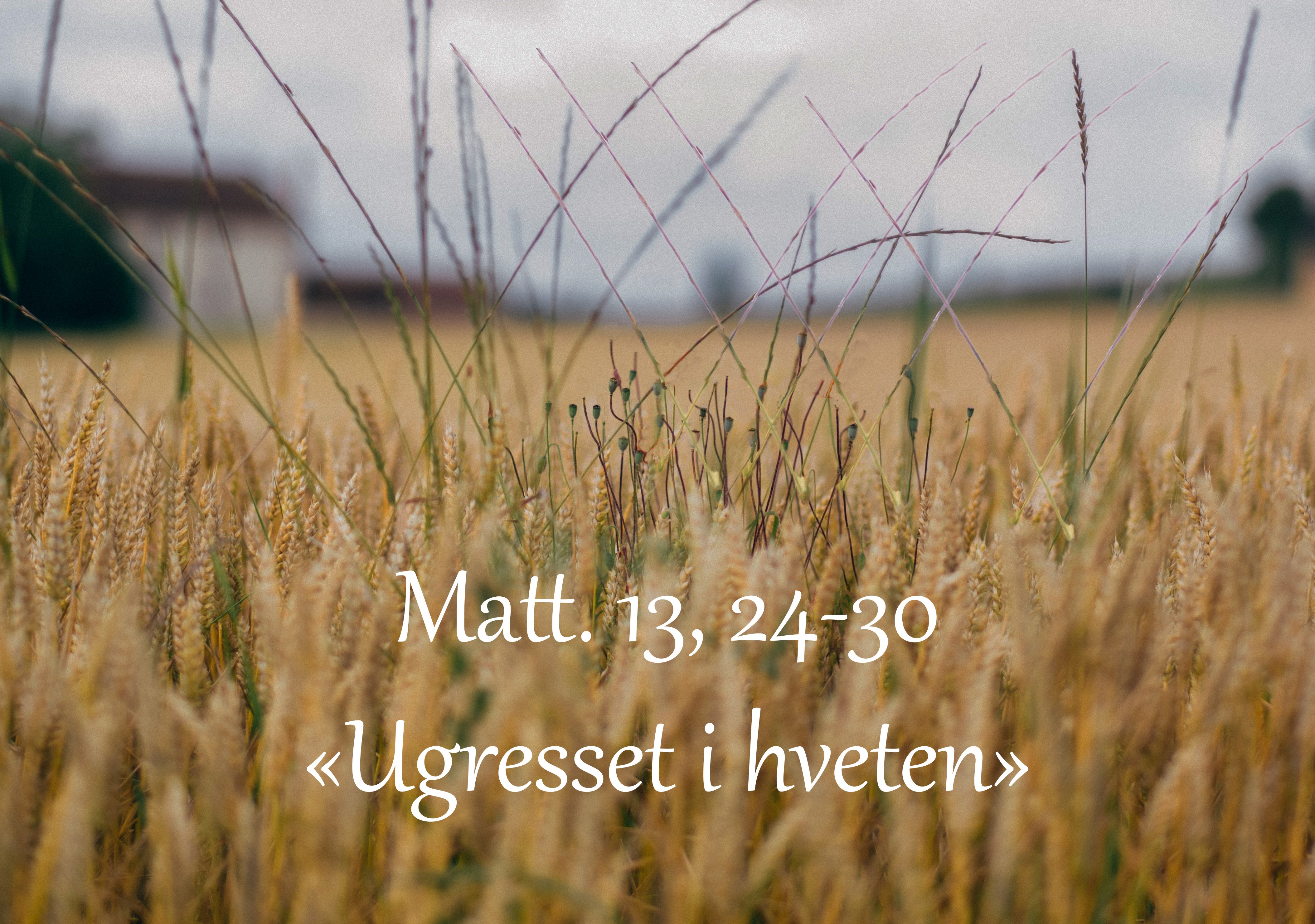 Gudstjeneste 17. februar - Såmannssøndag