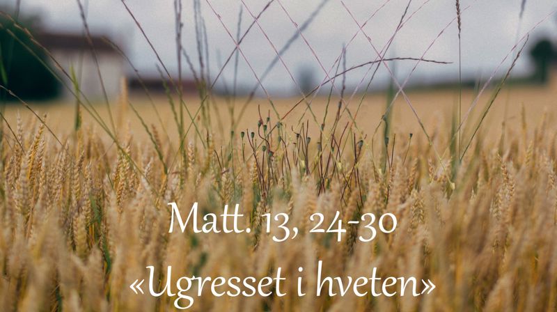 Gudstjeneste 17. februar - Såmannssøndag