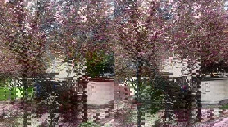 Familie og misjonsgudstjeneste