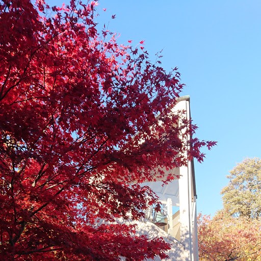 Nye koronatiltak Fridalen kirke