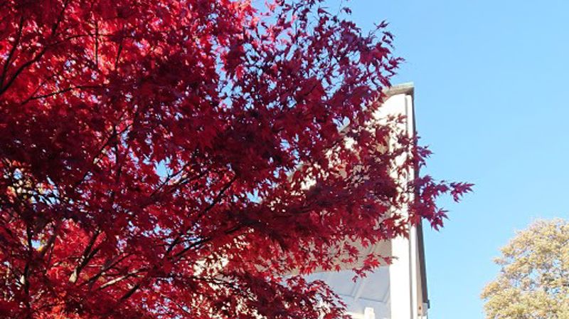 Nye koronatiltak Fridalen kirke