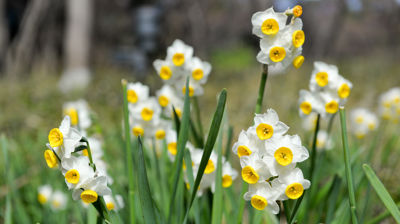 Friluftsgudstjeneste 14. mai