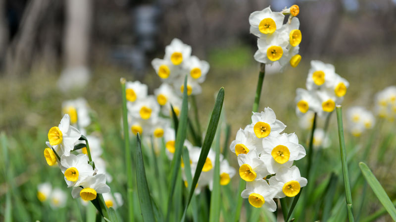 Friluftsgudstjeneste 29. mai