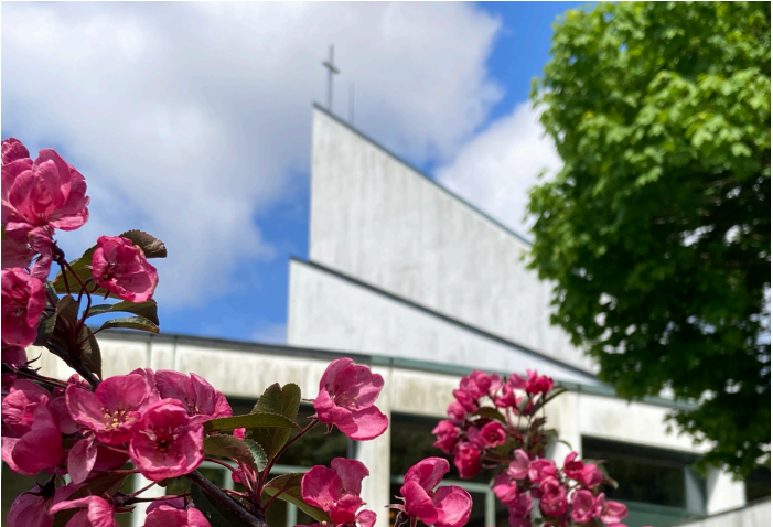 Vårblomster utenfor Landås kirke
