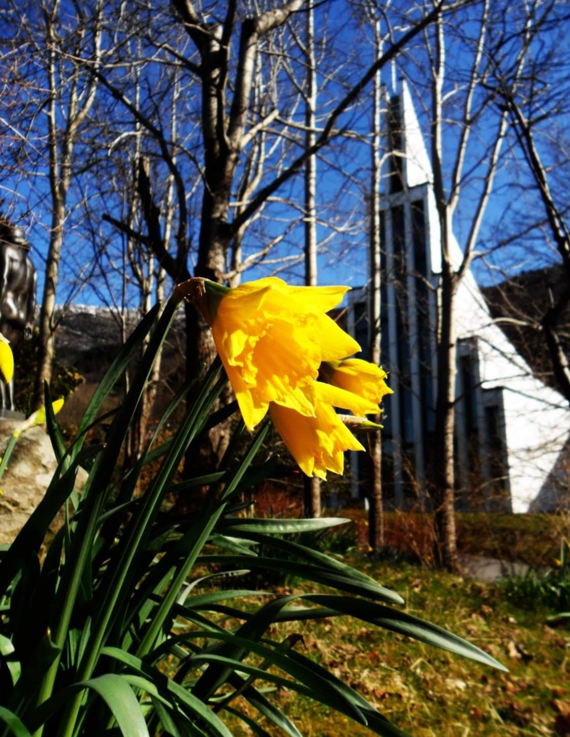 Påsken i Landås kirke