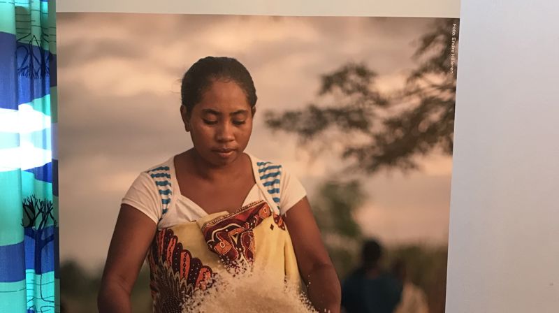 Roll up som bu bruker til å profilere misjonsarbeidet i vår menighet