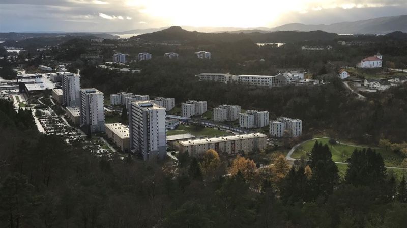 Om menigheten