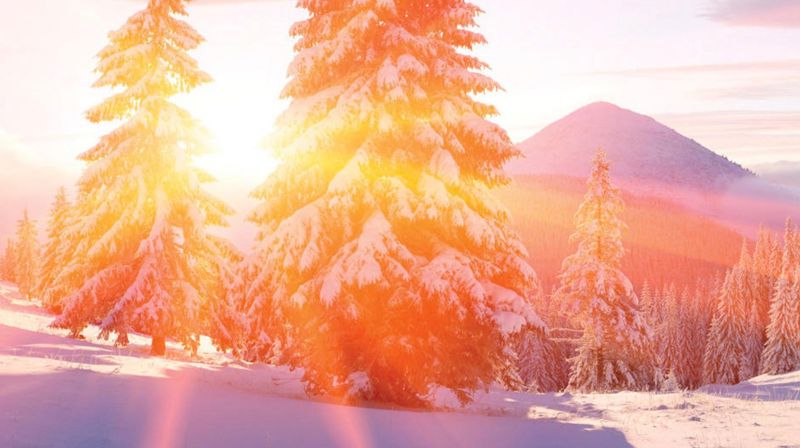 Nytt menighetsblad i Fokus