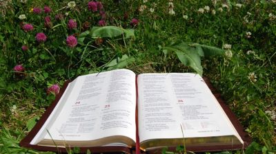 Bibeltekstane i gudstenesta