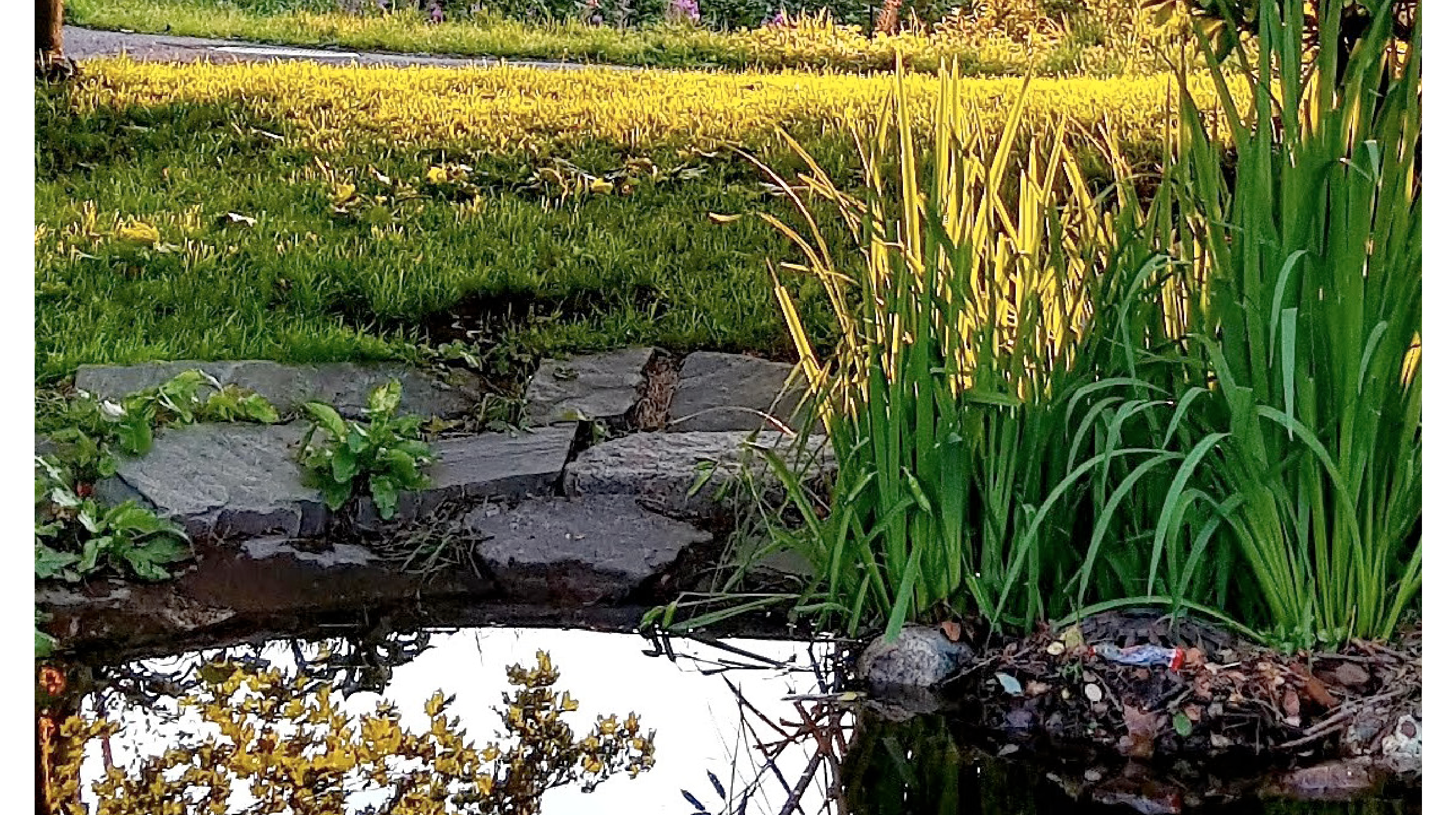 Forside av menighetsblad