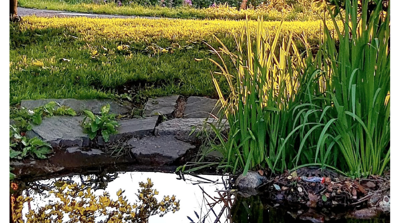 Forside av menighetsblad