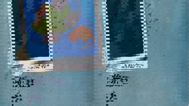 Nå er Sædalen menighets CDer tilgjengelig digitalt