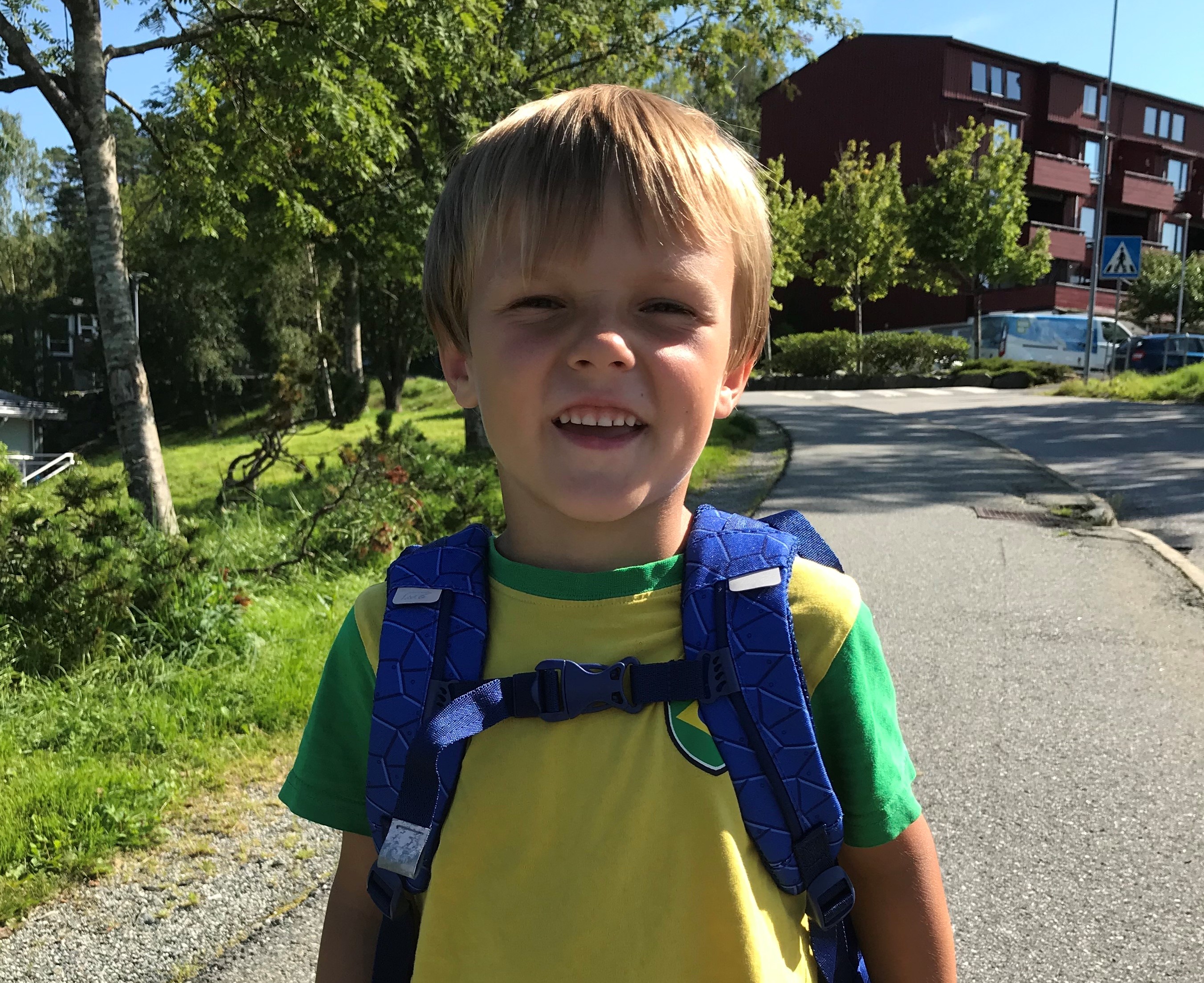 Har du en 1. klassing i huset?