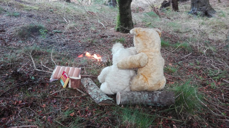 Dagens tips til noe kjekt å gjøre