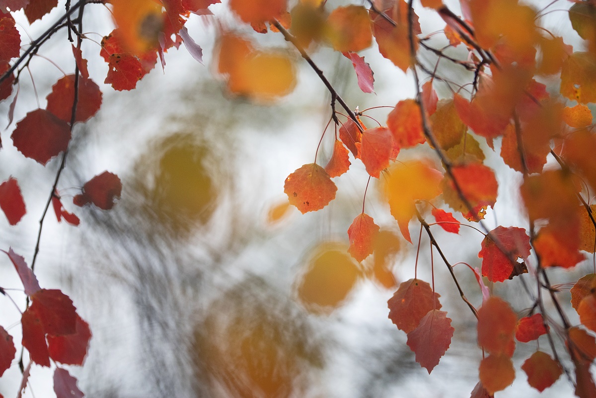 Foto: Magnar Børnes