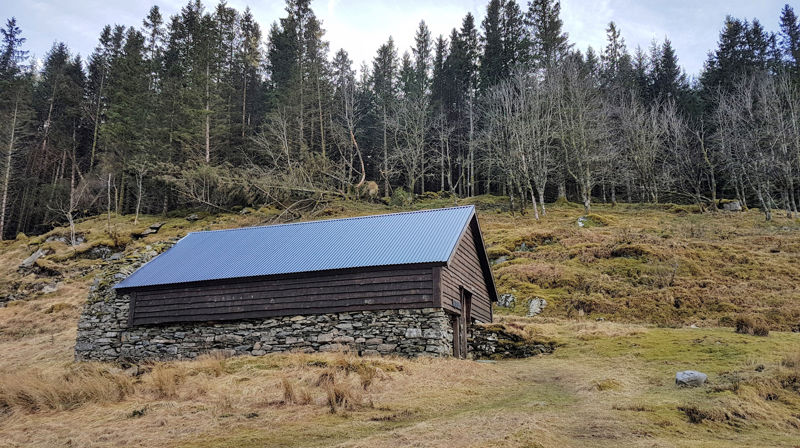 Har du sett Magnusløen?