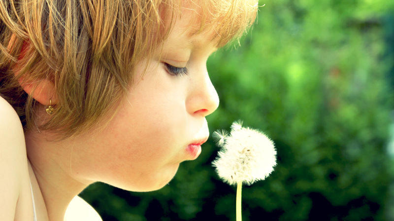 Sommerfest for hele menigheten