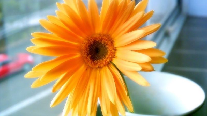 Medarbeiderfest 14. februar