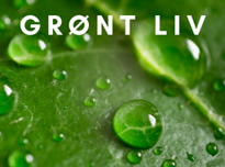 Grønt liv - ta vare på skaperverket