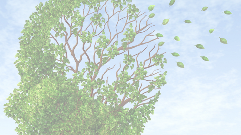 Kommunikasjon med mennesker med demens