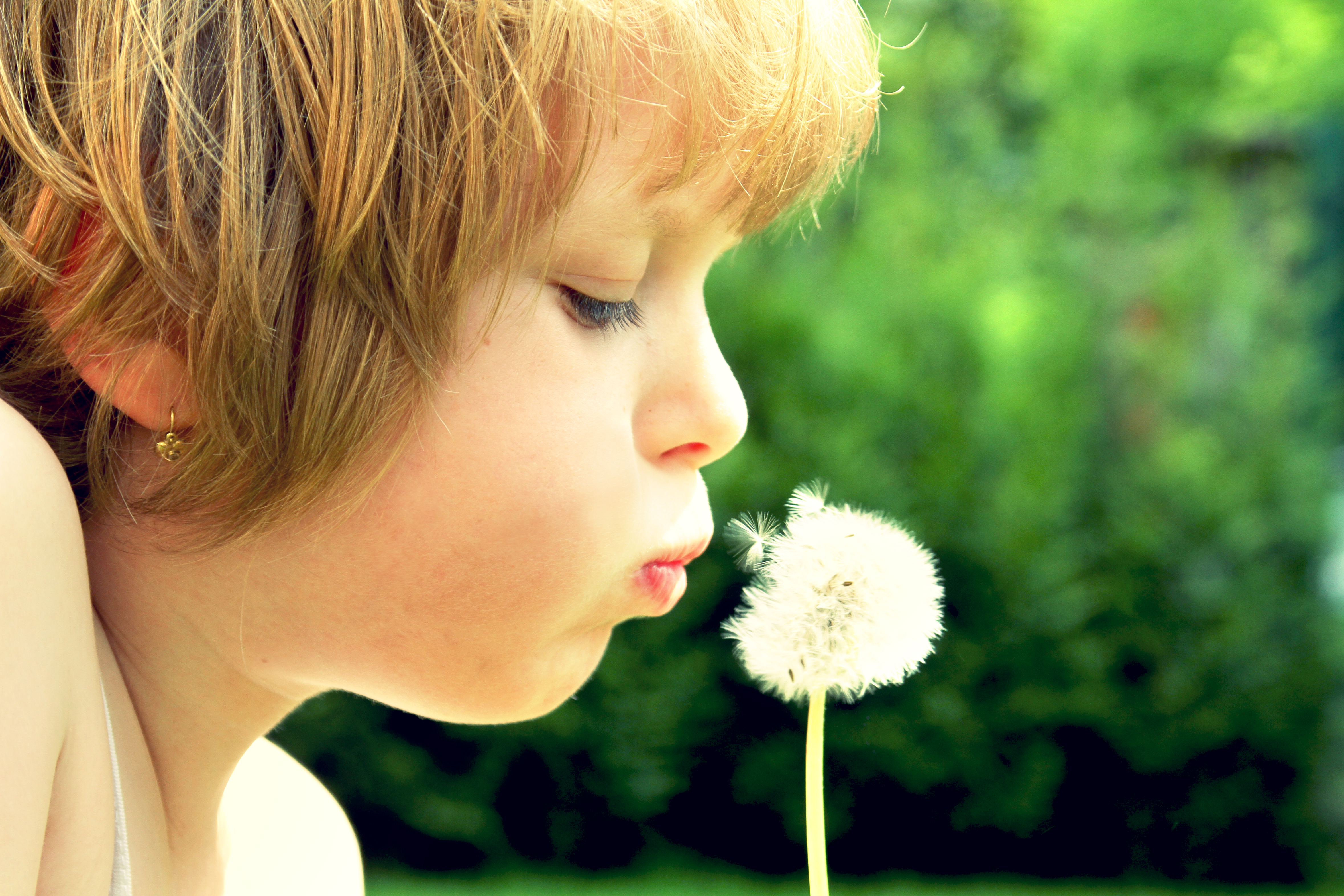Sommeravslutning for Familiedag og Babysang