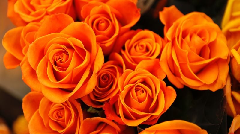 Å leve med sorgen - samling om sorg og sorgreaksjoner