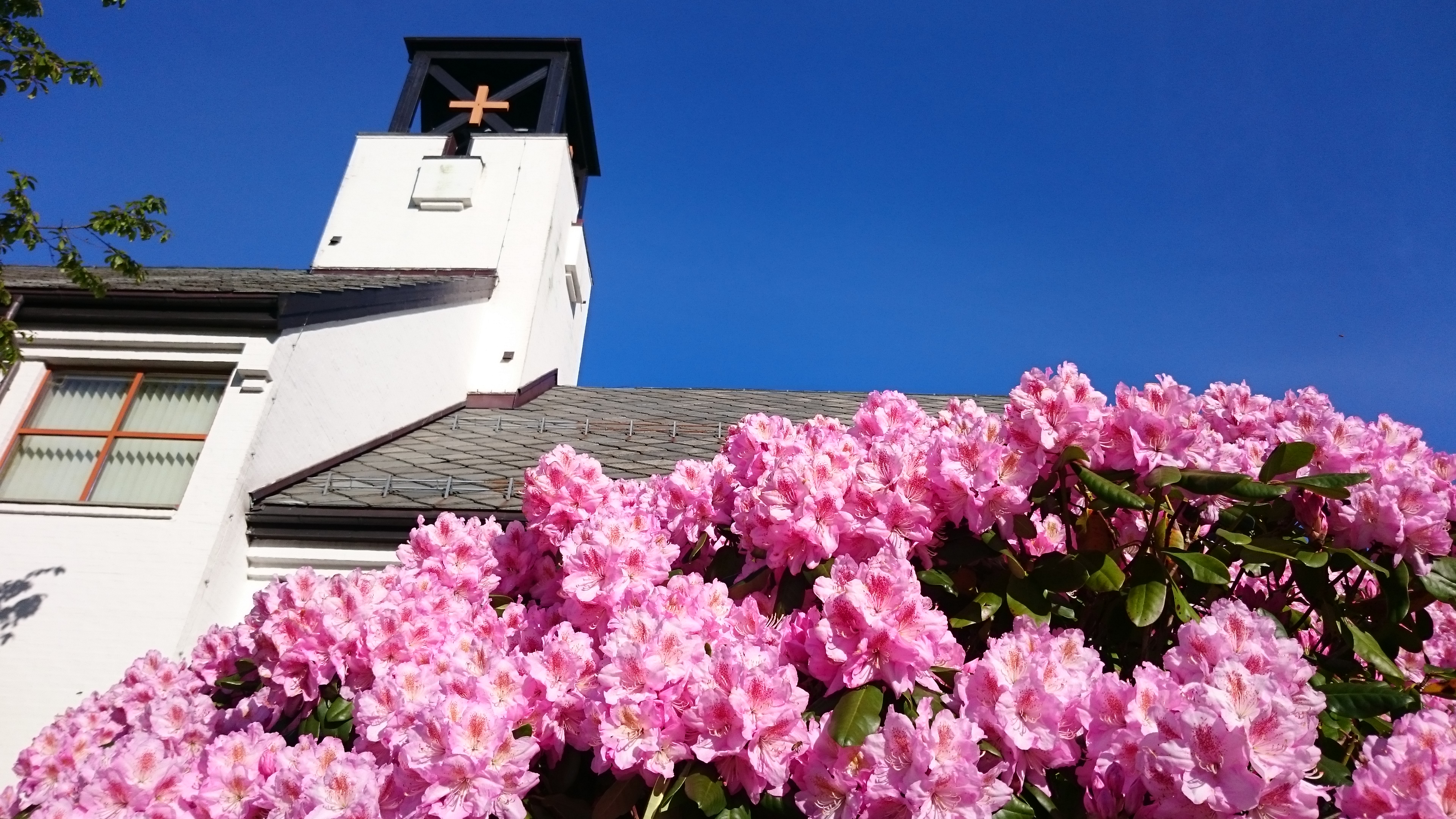Sommer i Skjold kirke