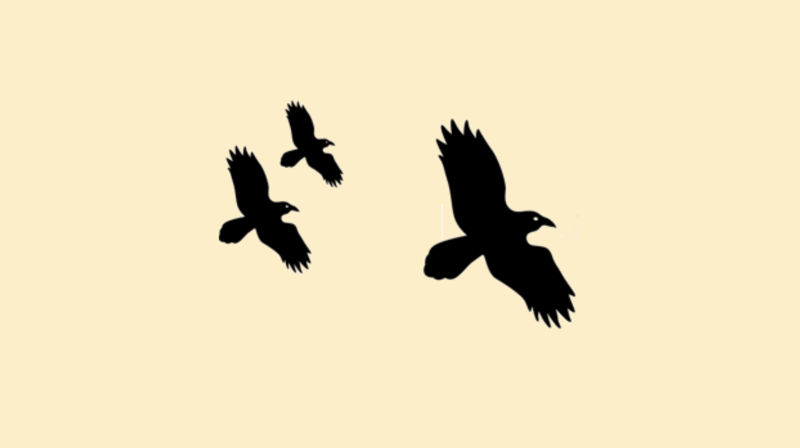 Bildet er hentet fra informasjonsmøtet som ble holdt for noen år siden om den nye satsningen på ravning på Slettebakken-området. Illustrasjonen er tre ravner som fly.