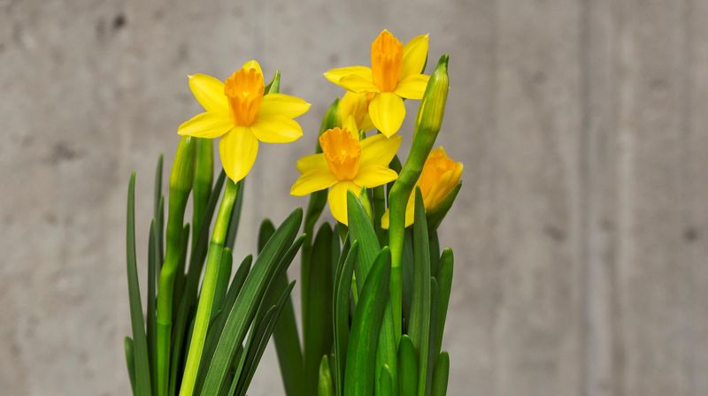 Påskefeiring i Slettebakken