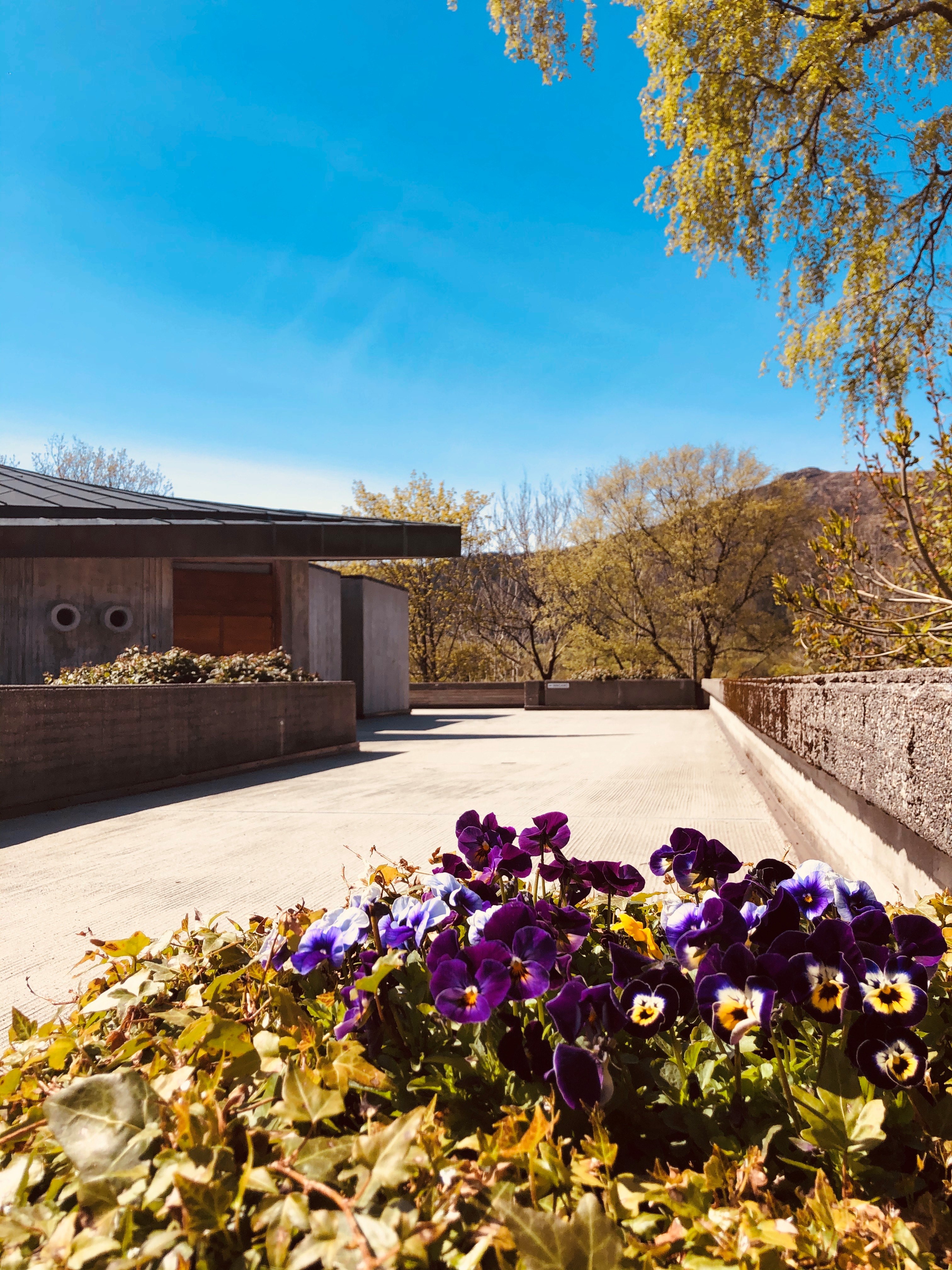 Velkommen til gudstjeneste - i kirken og på nett