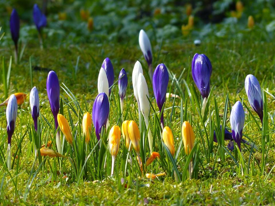 Påsken i Slettebakken menighet!