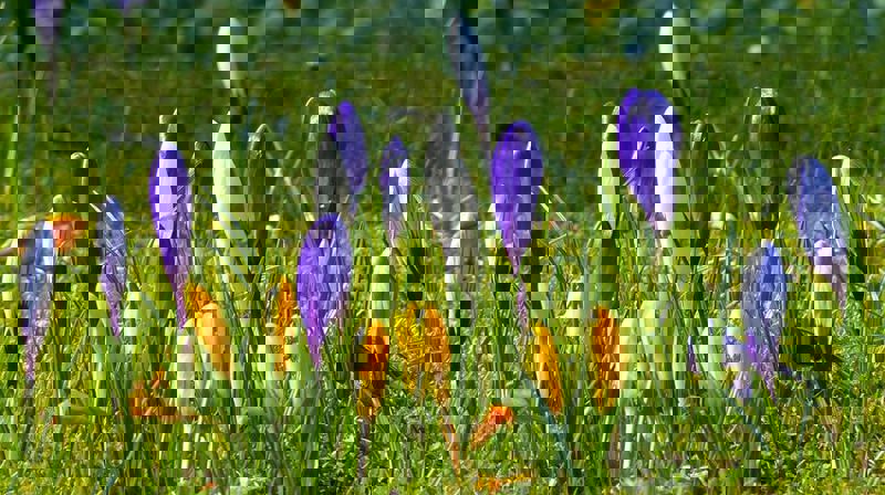 Gudstjeneste på nett!