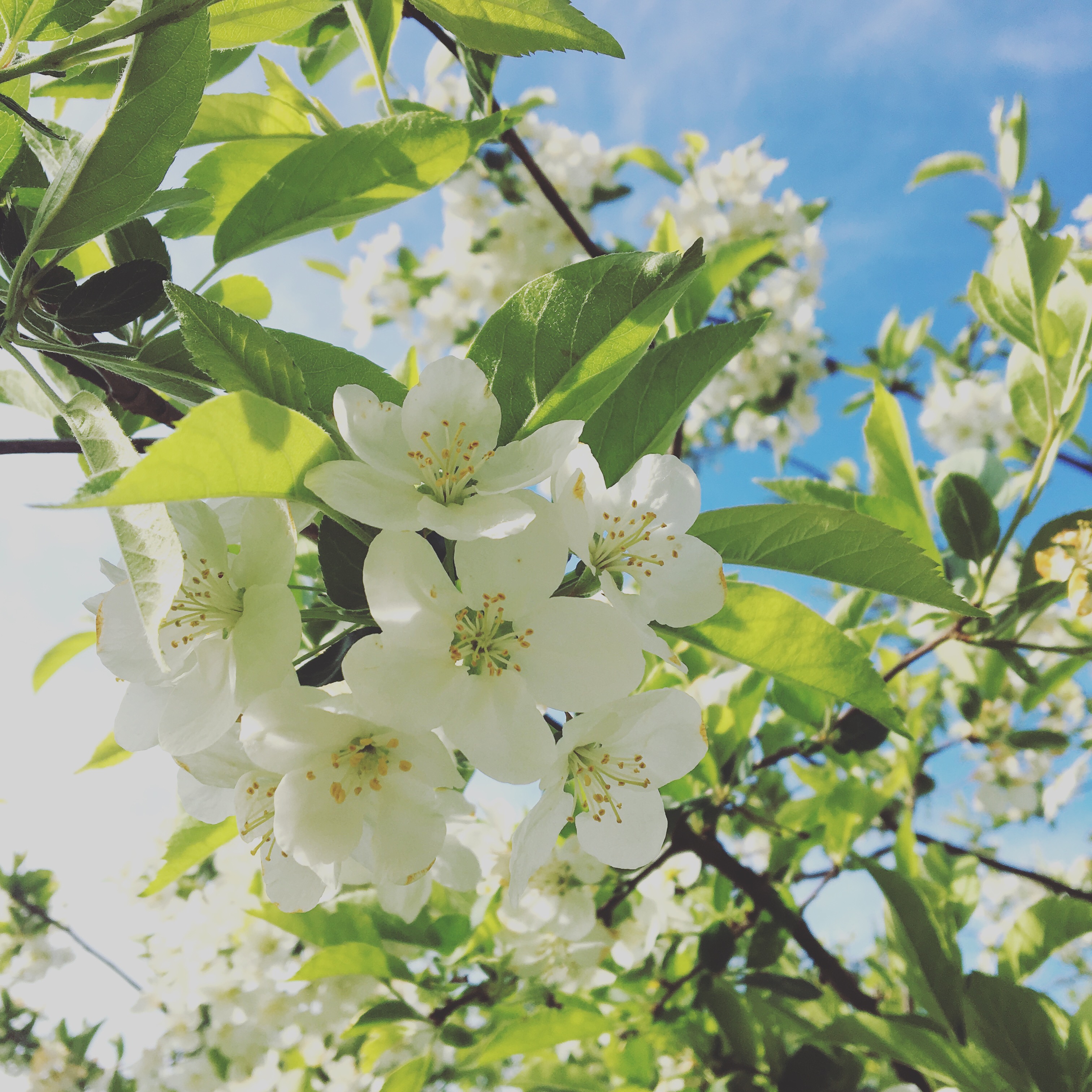 Ny søndag - ny gudstjeneste