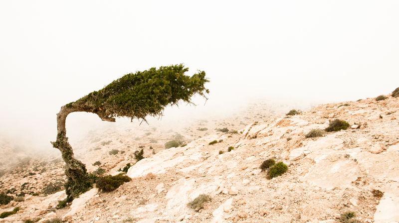 Ukens salme: Vær sterk, min sjel!