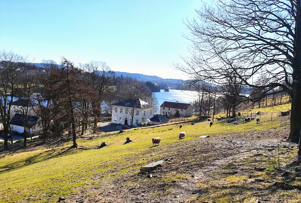 Utsikt mot Fjøsanger. Foto: B.Borgen