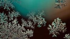 Foto: Sigrun Jørdre