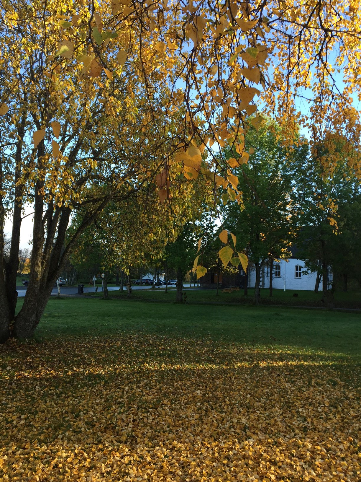 Bodindagen 16.oktober