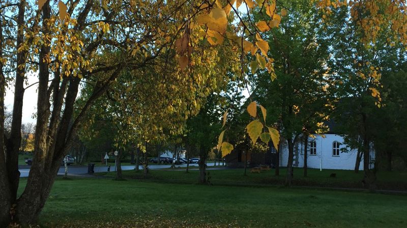 Bodindagen 16.oktober