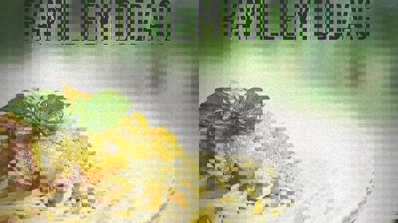 Velkommen til TangenTirsdag!