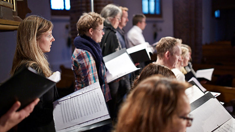 Illustrasjonsbilde av kor. Foto: Sveinung Bråthen