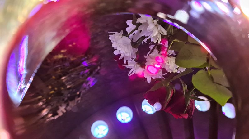 Pinsefeiring i coronatiden