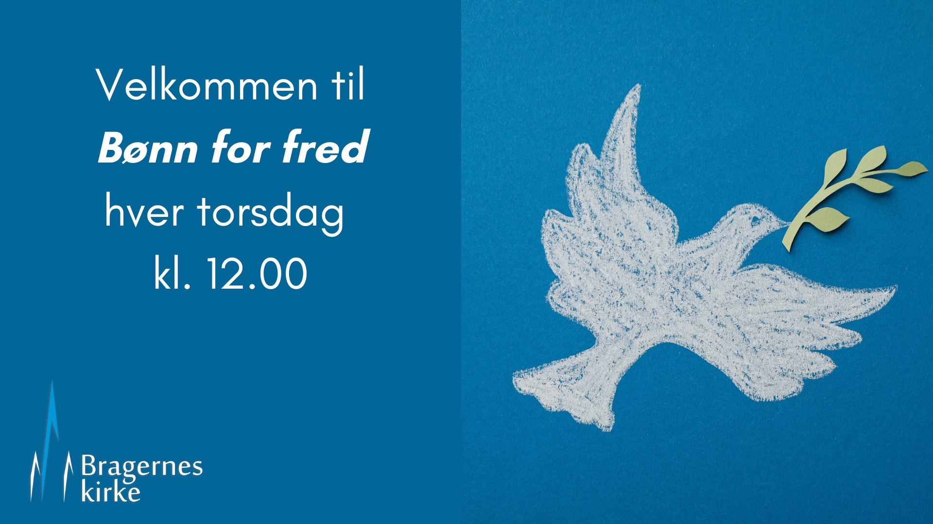 Bønn for fred hver torsdag kl. 12 i Bragernes kirke