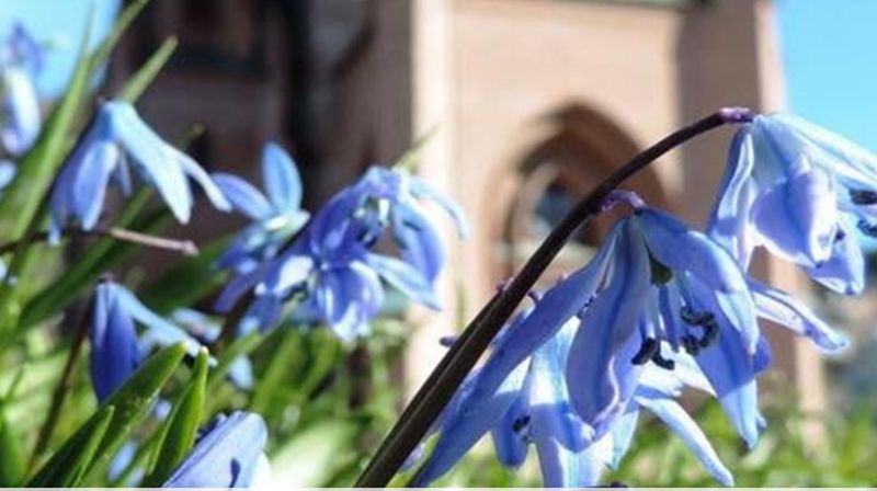 Velkommen til vårkonsert!