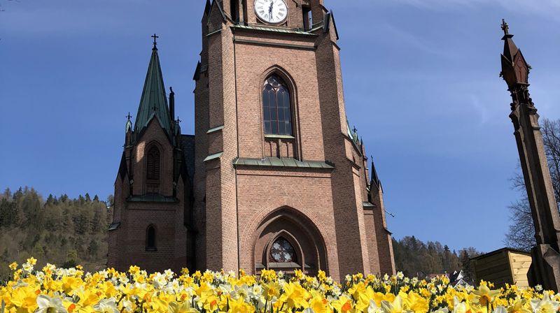 Påskeliljer utenfor Bragernes kirke