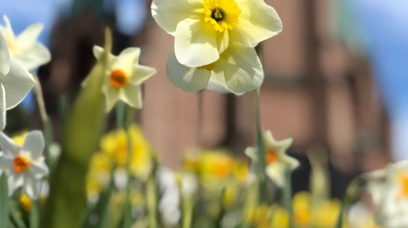 Stille uke og påske 2019 i Bragernes kirke